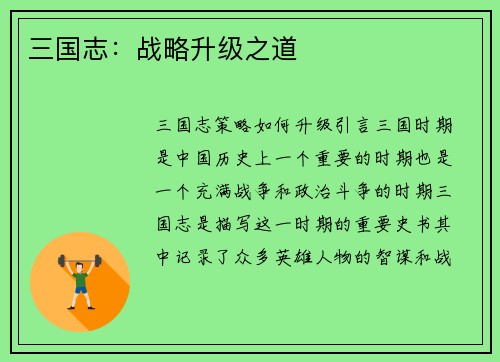 三国志：战略升级之道